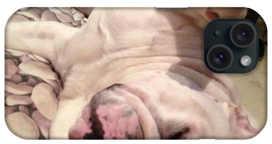 Bulldog iPhone Case featuring the photograph Hey Mate, Do Not Bother Me And Scratch by Lord Maximilian Stuard