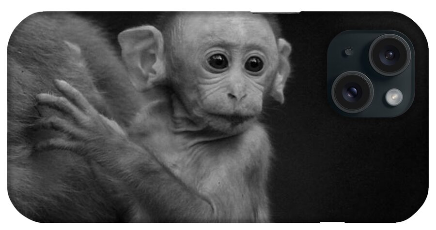 Baby Monkey iPhone Case featuring the photograph Hey mom look what is there by Ramabhadran Thirupattur