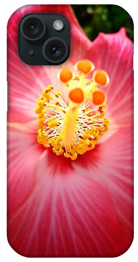 Hibiscus iPhone Case featuring the photograph Hibiscus Highland by John Duplantis
