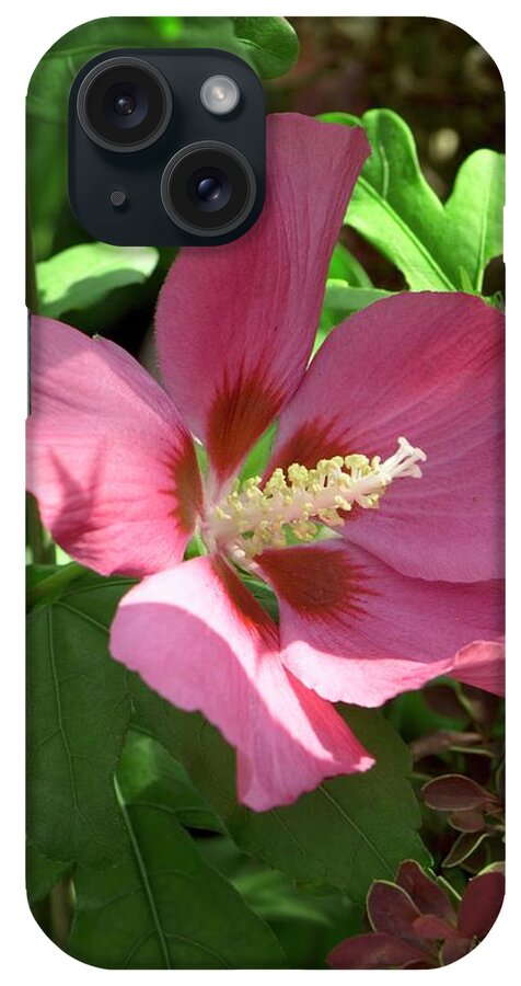 Hibiscus Syriacus iPhone Case featuring the photograph Hibiscus Syriacus 'woodbridge' by Adrian Thomas