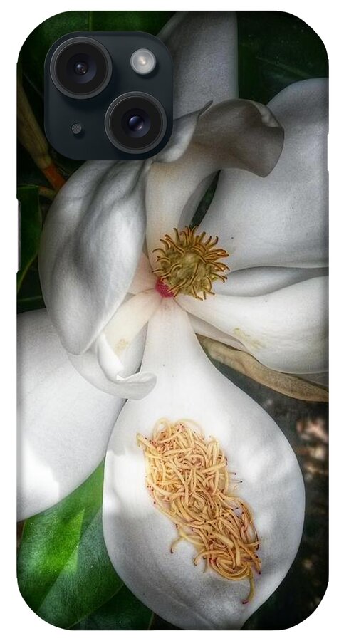 Magnolias iPhone Case featuring the photograph Hidden Beauty by John Duplantis