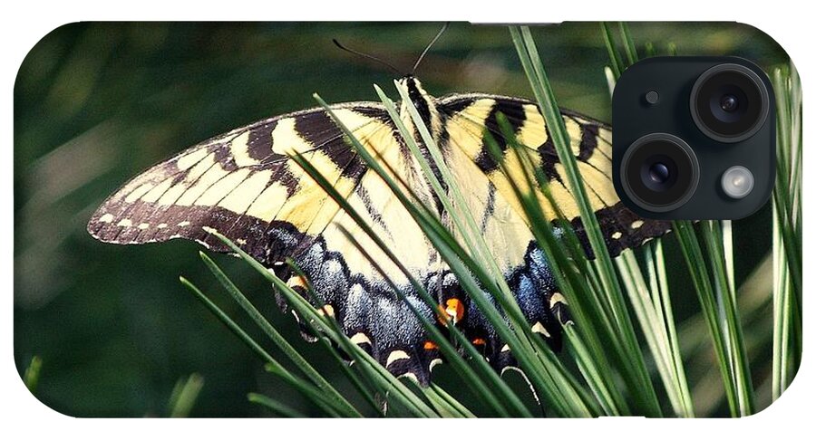Butterfly iPhone Case featuring the photograph Hidden in the Trees by Veronica Batterson