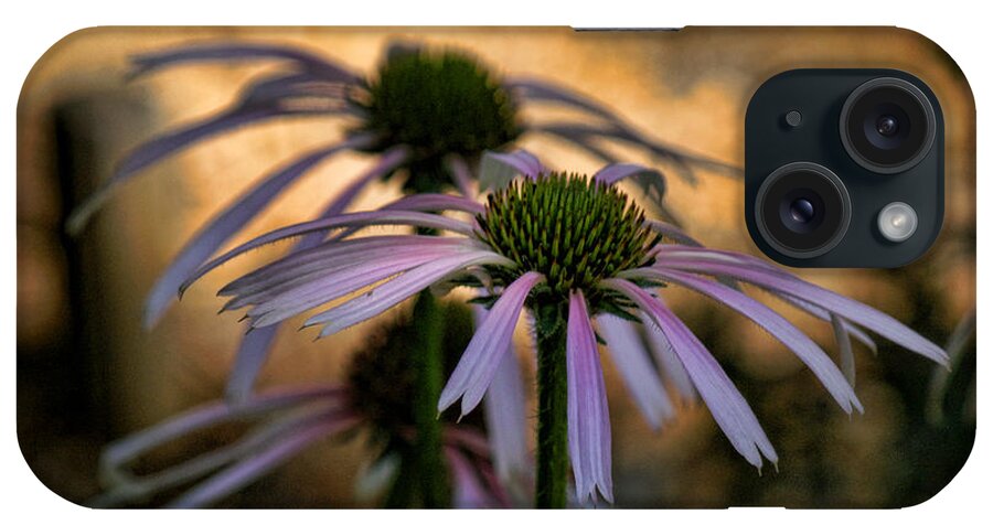 Shadow And Light iPhone Case featuring the photograph Hiding In The Shadows by Peggy Hughes