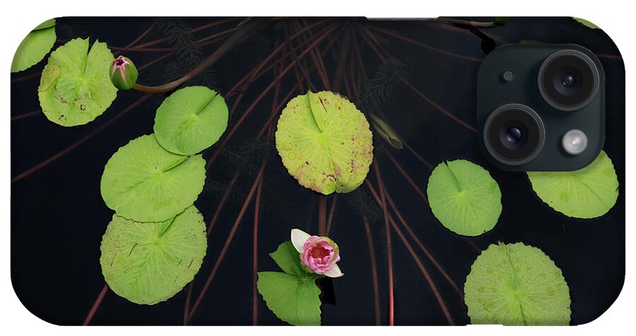 Photography iPhone Case featuring the photograph High Angle View Of Lily Pads In Pond by Panoramic Images