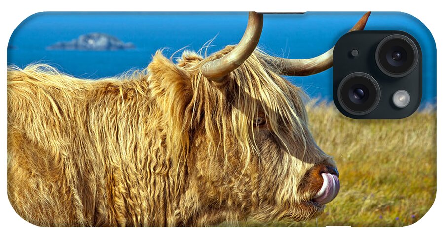 Highland Cattle iPhone Case featuring the photograph Highland Beauty by Bel Menpes