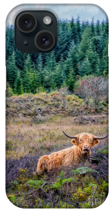 Hdr iPhone Case featuring the photograph Highland Cow by Adrian Evans