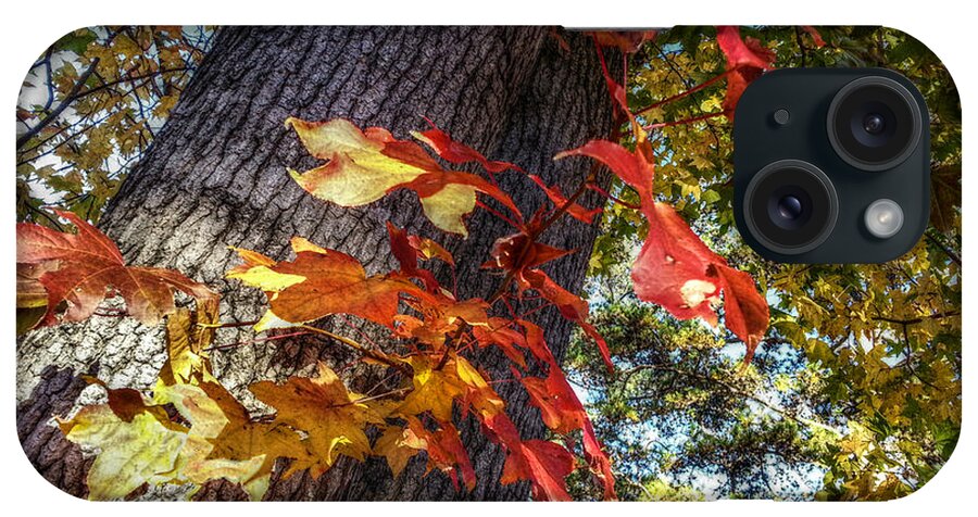 Red Leaves iPhone Case featuring the digital art Hints of Fall by Linda Unger