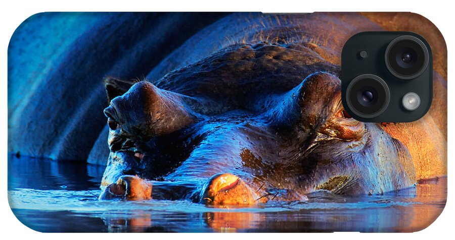 Hippopotamus iPhone Case featuring the photograph Hippopotamus at sunset by Johan Swanepoel