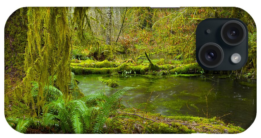 Hoh Rainforest iPhone Case featuring the photograph Hoh Rainforest 3 by Joe Doherty