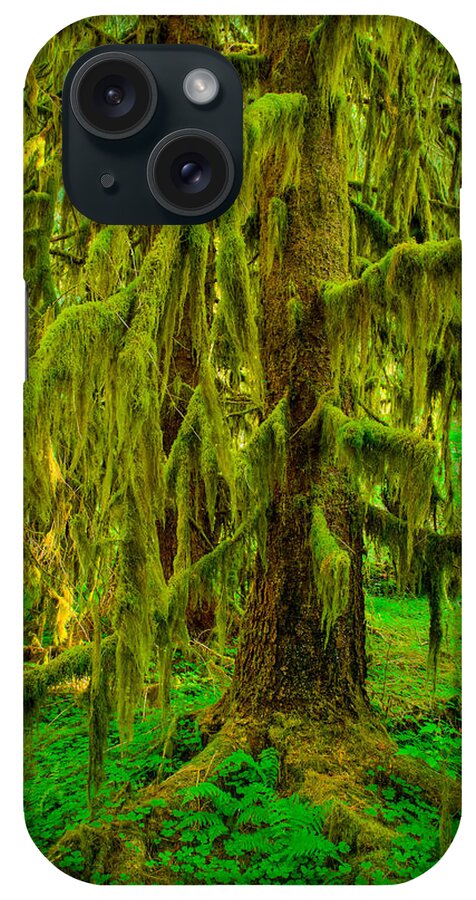 Hoh Rainforest iPhone Case featuring the photograph Hoh Rainforest Heavy Weight by Dan Mihai