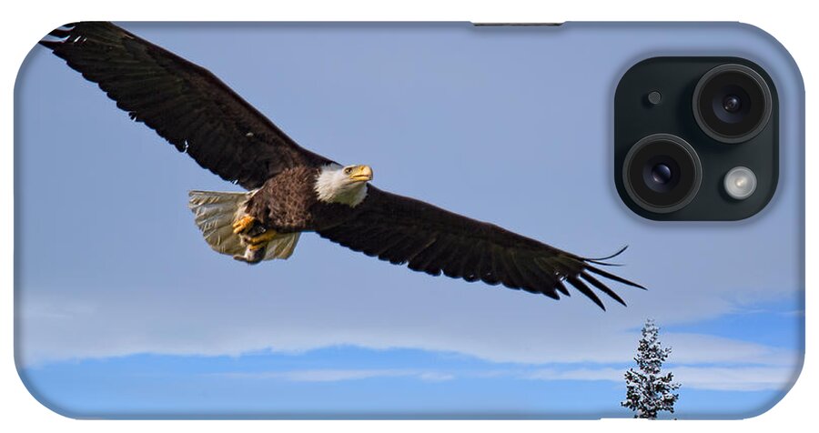 Bald Eagle Photograph iPhone Case featuring the photograph Homeward Bound by Jim Garrison