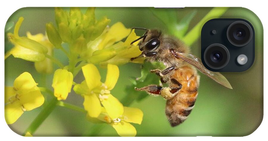 Honeybee iPhone Case featuring the photograph Honey Bee on Mustard by Lucinda VanVleck