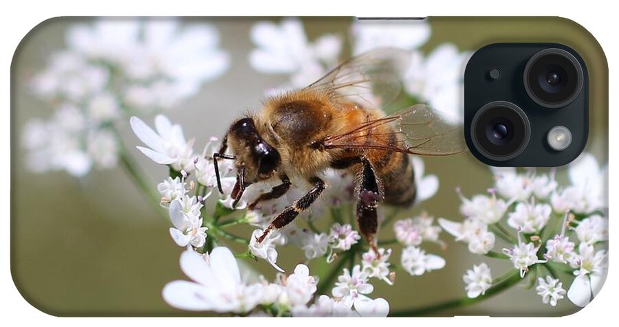 Honeybee iPhone Case featuring the photograph Honeybee on Cilantro by Lucinda VanVleck