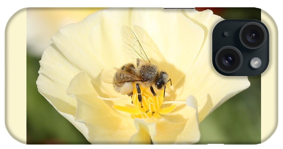 Honeybee iPhone Case featuring the photograph Honeybee on Cream Poppy by Lucinda VanVleck