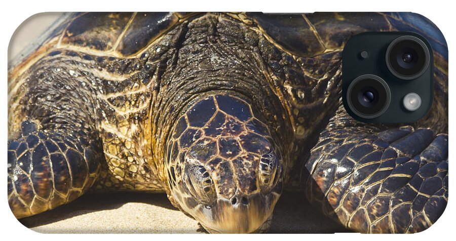 Honu iPhone Case featuring the photograph Honu Hawaiian Sea Turtle Hookipa Beach Maui North Shore Hawaii by Sharon Mau