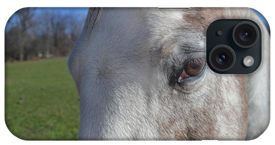 Equine iPhone Case featuring the photograph Horse Close Up by Maggy Marsh