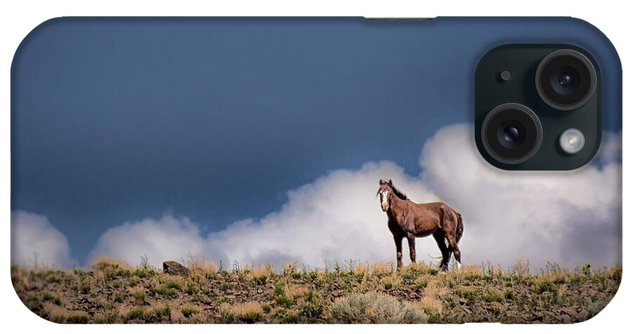 Wild Horse iPhone Case featuring the photograph Horse in the Clouds by Janis Knight
