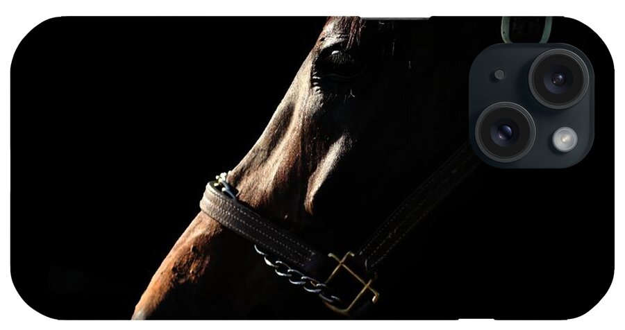 Horse iPhone Case featuring the photograph Horse in the Shadows by Janice Byer