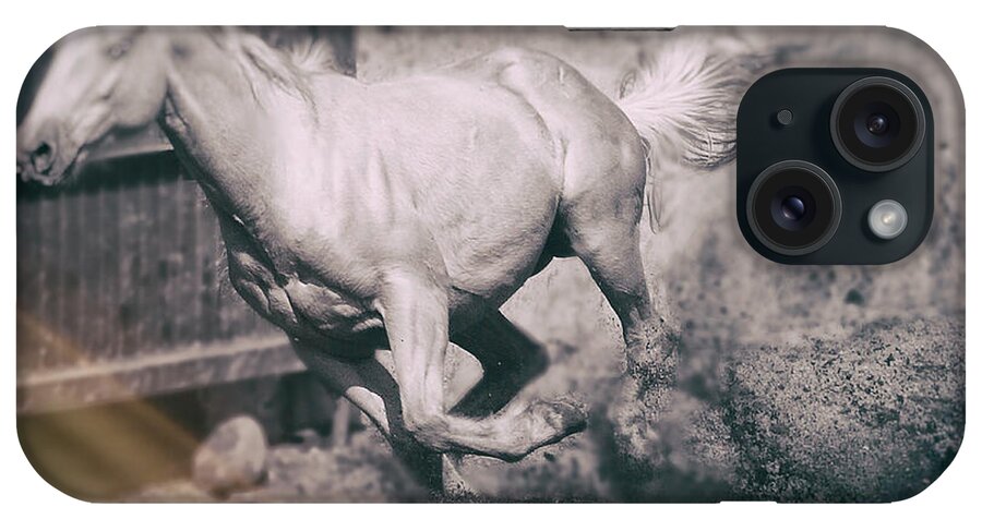 Horse iPhone Case featuring the photograph Horse Power by Barry Weiss