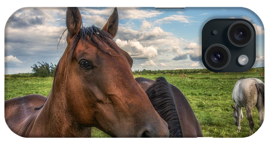 Horse Profile iPhone Case featuring the photograph Horse Profile by Mark Papke