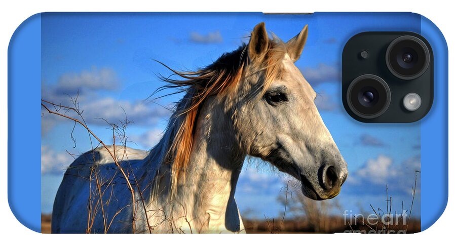 Horse iPhone Case featuring the photograph Horse by Savannah Gibbs