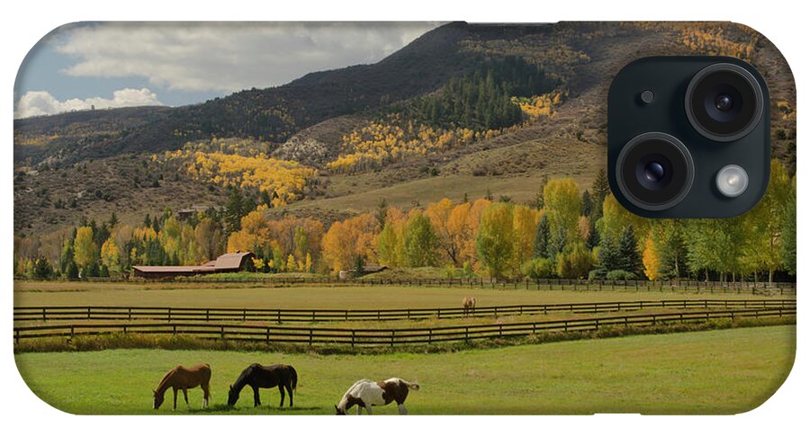 Horse iPhone Case featuring the photograph Horses Grazing In Autumn Pasture by Chapin31