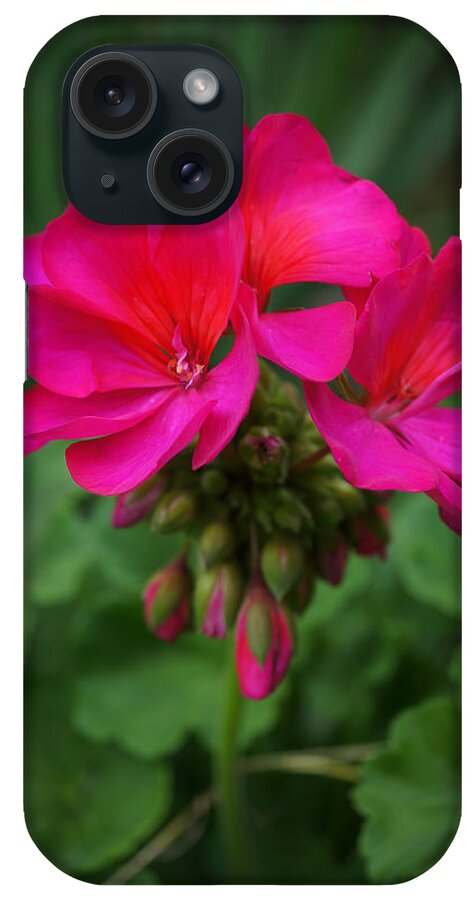 Close-up iPhone Case featuring the photograph Hot Pink Geraniums by Ronda Broatch