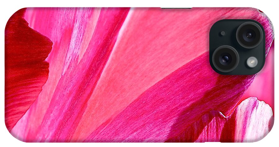 Fuchsia iPhone Case featuring the photograph Hot Pink by Rona Black