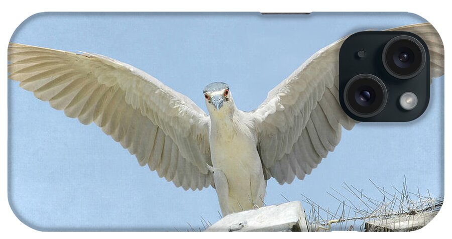 Black Crowned Night Heron iPhone Case featuring the photograph Bed Of Nails #1 by Fraida Gutovich