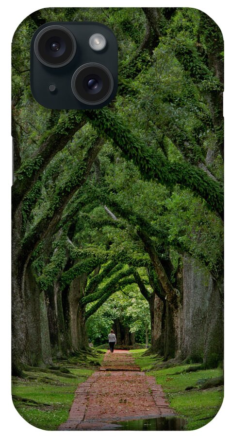 Canopy iPhone Case featuring the photograph Houston Live Oaks by Bill Barfield