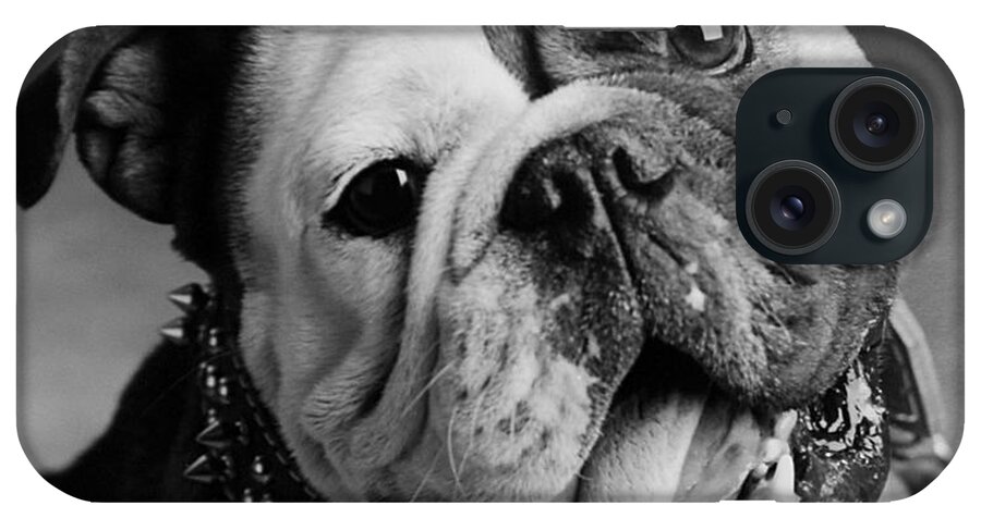 Bull Dog iPhone Case featuring the photograph Huh by Jill Reger