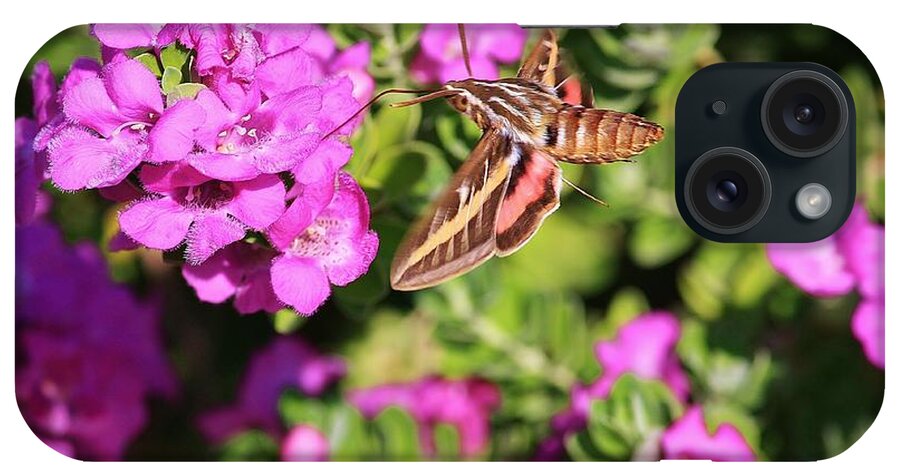 Flowers iPhone Case featuring the photograph Hummingbird Moth by Marcia Breznay