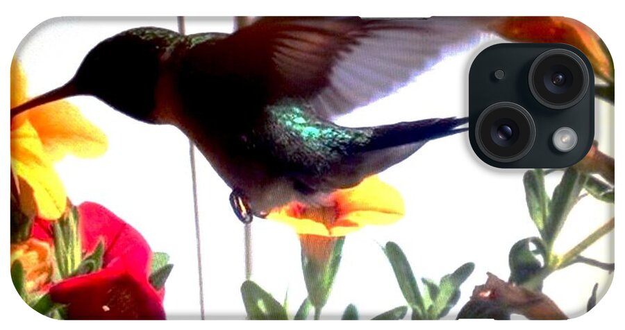 Hummingbird iPhone Case featuring the photograph Hummingbird by Renee Michelle Wenker