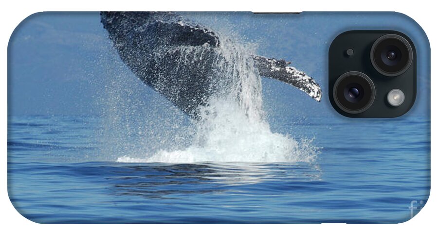  Whales iPhone Case featuring the photograph Humpback Whale Breaching Hawaii by Bob Christopher
