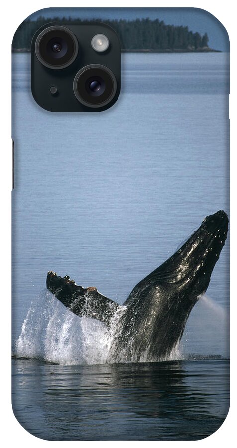 Feb0514 iPhone Case featuring the photograph Humpback Whale Breaching Southeast by Tui De Roy