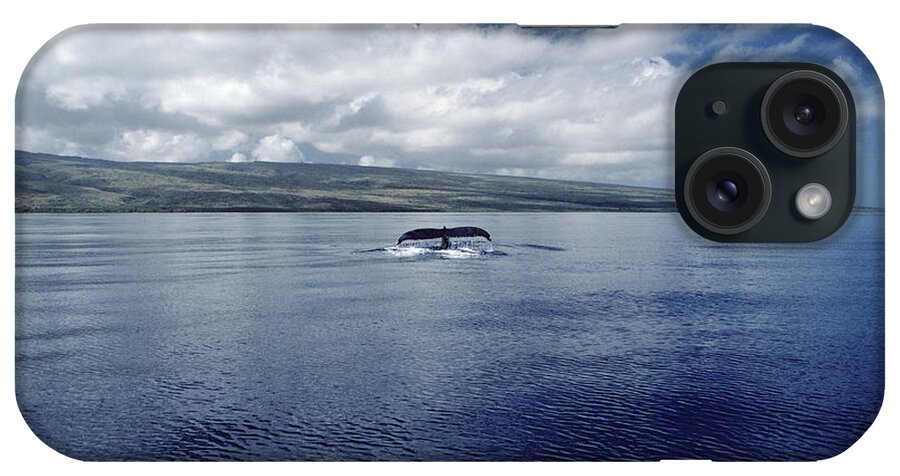 Feb0514 iPhone Case featuring the photograph Humpback Whale Tail Slap Hawaii by Flip Nicklin