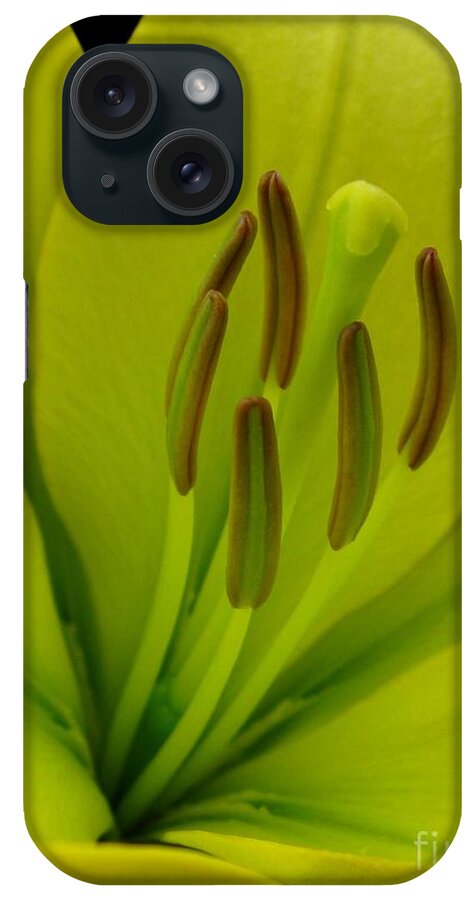 Hybrid Lily iPhone Case featuring the photograph Hybrid Lily named Trebbiano by J McCombie