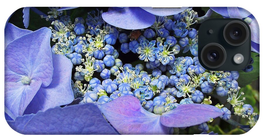 Plants iPhone Case featuring the photograph Hydrangea Blossom by Duane McCullough