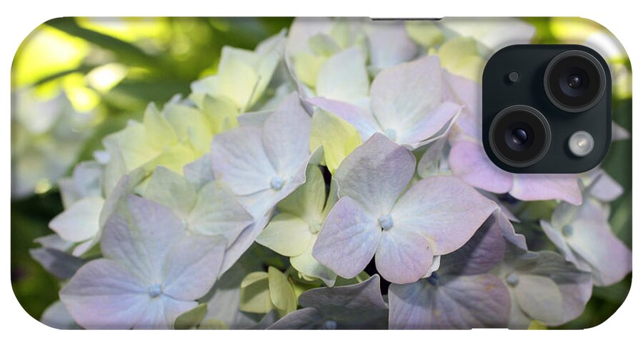 Flora iPhone Case featuring the photograph Hydrangea by Gerry Bates