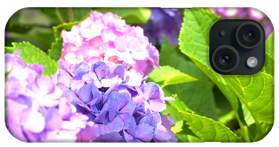 Hydrangea iPhone Case featuring the photograph Hydrangeas in the sun by Yuka Kato