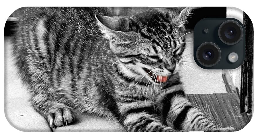 Kitten iPhone Case featuring the photograph I Don't Wanna by Sharon Woerner