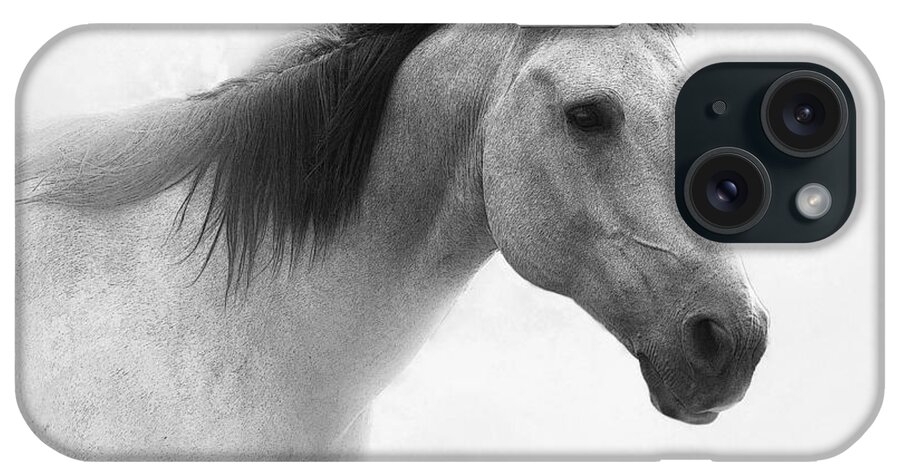 Horse iPhone Case featuring the photograph I Dream of Horses by Betty LaRue