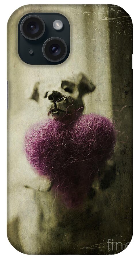 Dog iPhone Case featuring the photograph I Give You My Heart by Terry Rowe