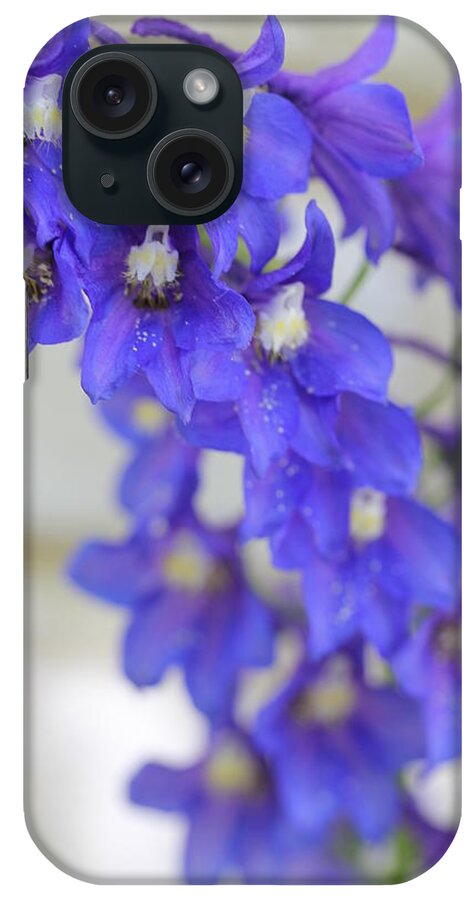Delphinium iPhone Case featuring the photograph I Got the Blues by Ruth Kamenev