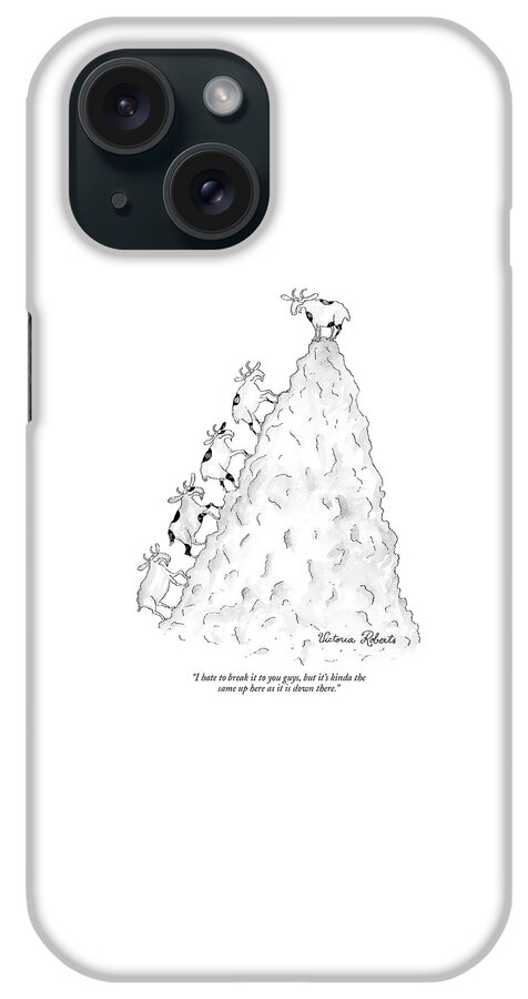 I Hate To Break It To You Guys iPhone Case