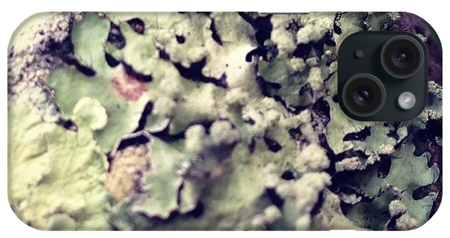 Instagram iPhone Case featuring the photograph I Like #lichen #growth #green #tree by Robyn Padden