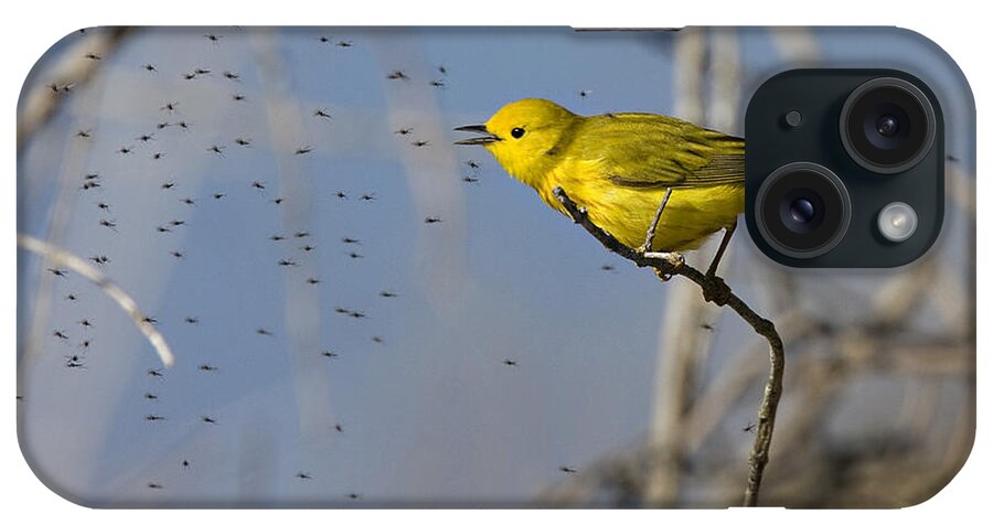 Common Yellow Warbler iPhone Case featuring the photograph I love bugs by Don Anderson