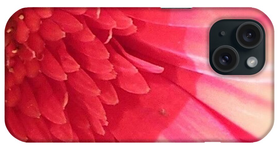 Beautiful iPhone Case featuring the photograph I Want by Jacqueline Schreiber