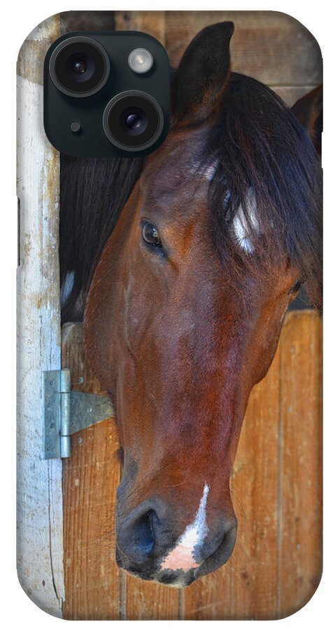 Horse iPhone Case featuring the photograph I Was Waiting For You by Sandi OReilly