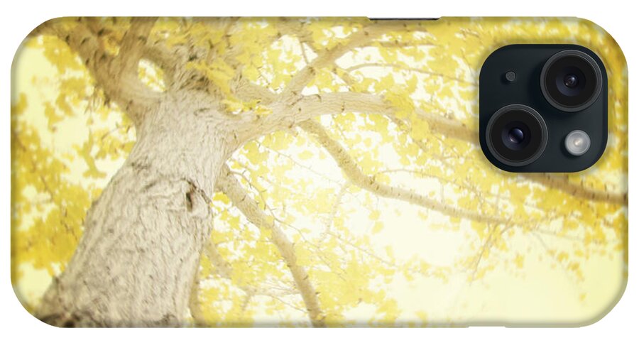 Yellow Tree iPhone Case featuring the photograph I Will Remember You by Amy Tyler